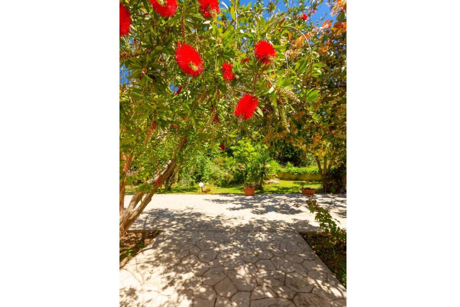 Villa Russa Alexandros Khelmáta Esterno foto